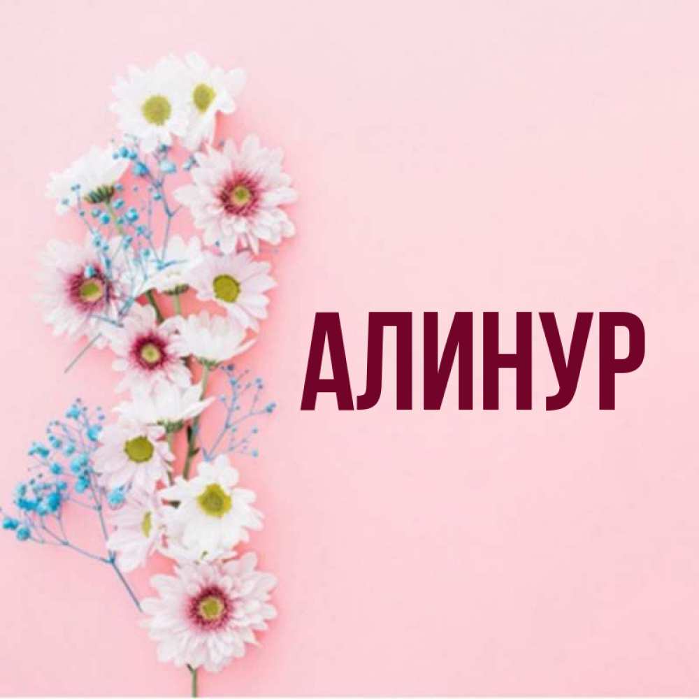 С Днем Рождения Алинур