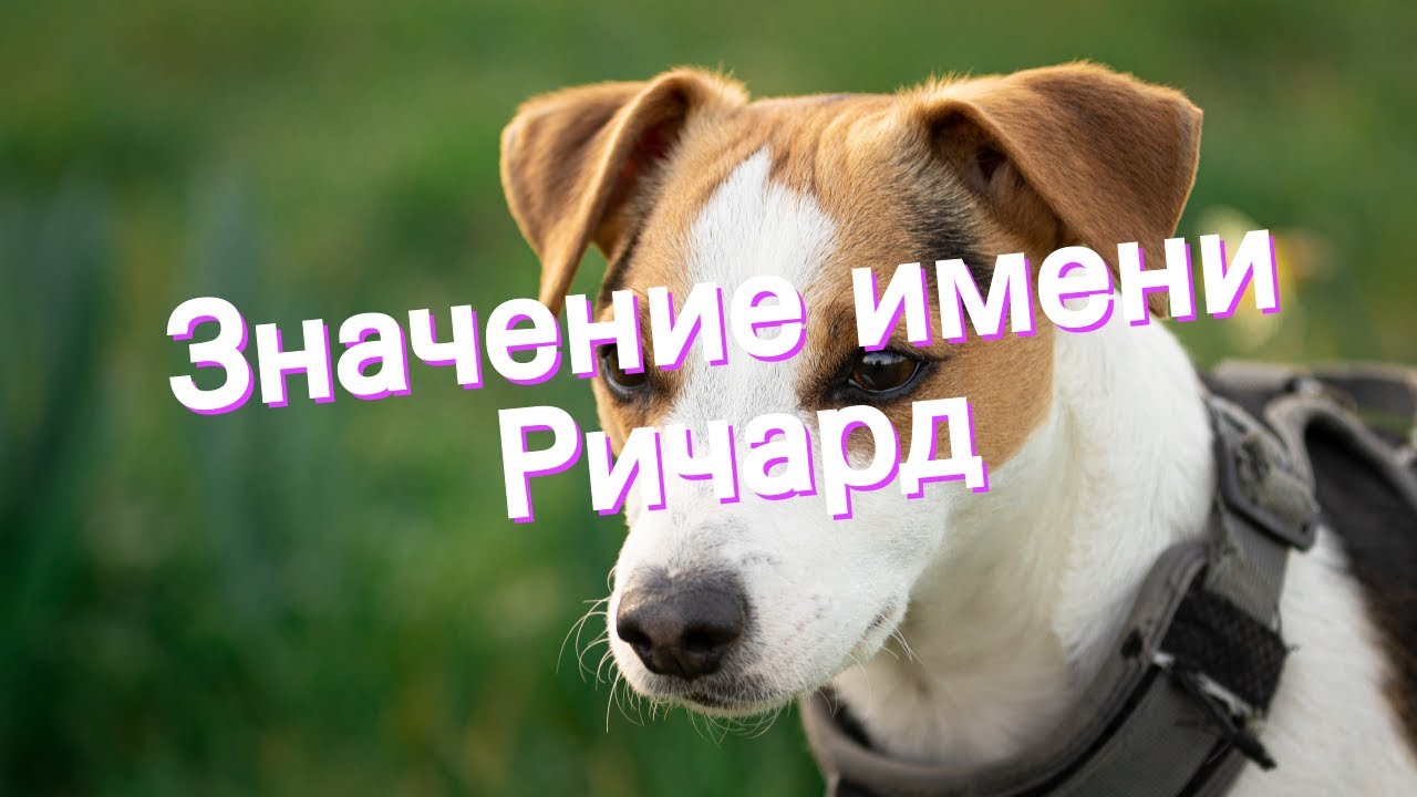 Марина: происхождение имени и значение, судьба и характер. тайна имени марина и совместимость (+отзывы)