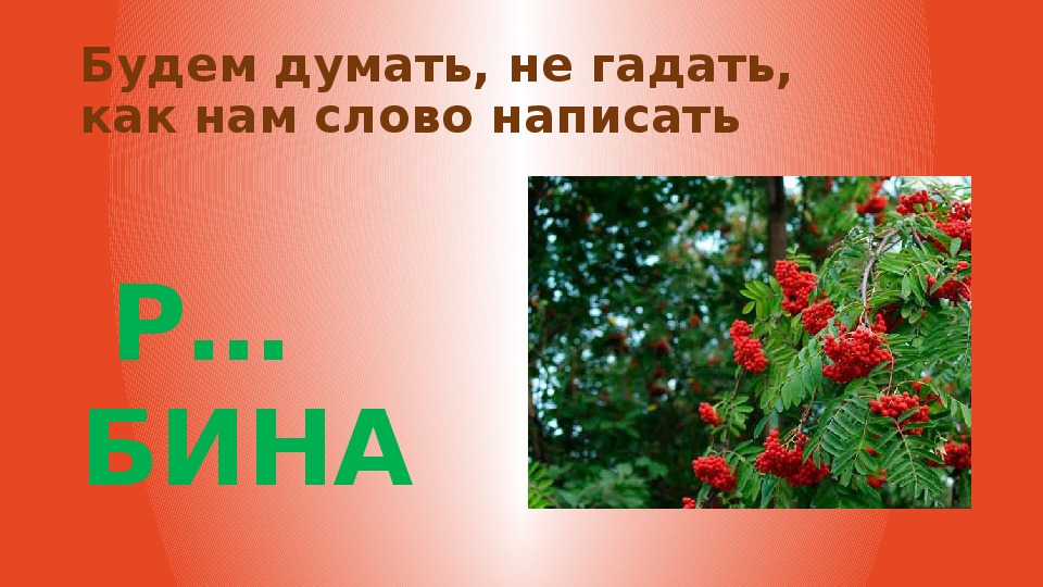Однокоренные слова - определение, признаки и правила правописания