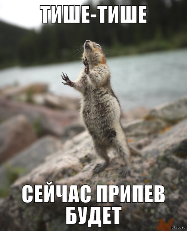 Как провести морфологический разбор частей речи?