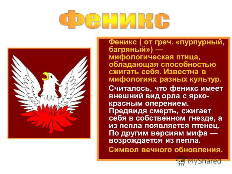 Значение птицы феникс в легендах и мифологии, версии существования