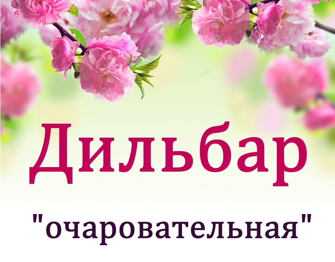 Значение имени сергей – происхождение, характер и судьба, что означает в переводе с латинского языка