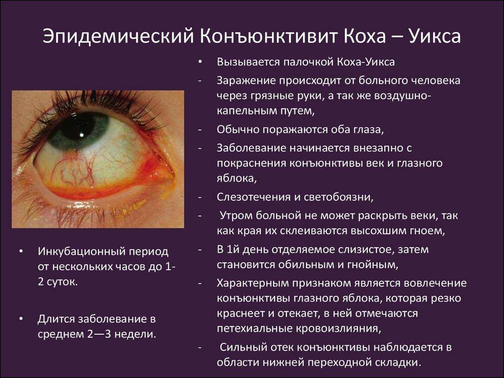 Русский язык