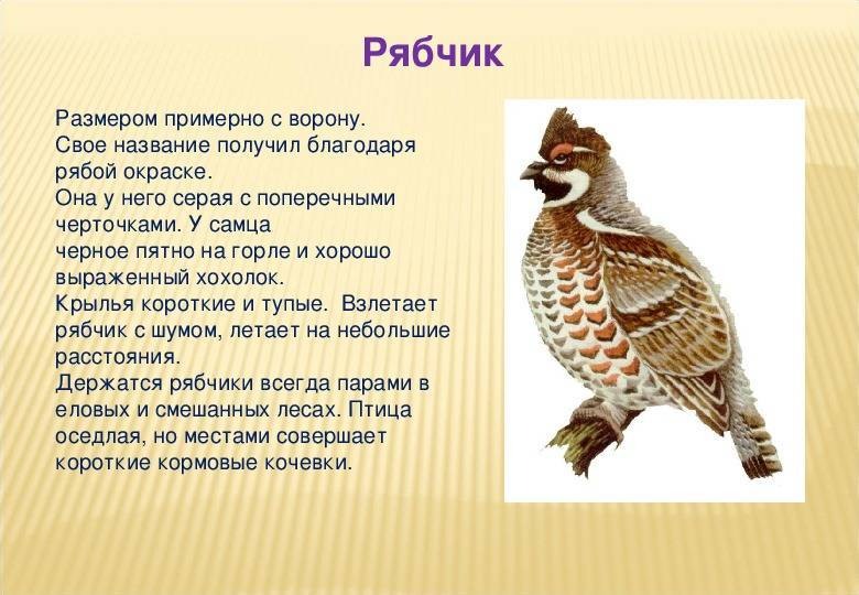 Упражнения на однокоренные слова - 2 класс - na5.club