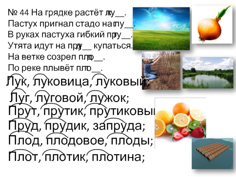 Однокоренные слова в русском языке — примеры и определение