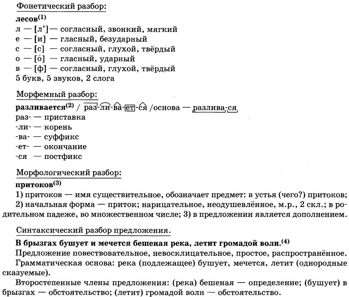 Морфологический разбор имени существительного / имя существительное / морфология и морфологический разбор / справочник по русскому языку для начальной школы