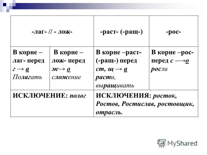 Однокоренные слова в русском языке — примеры и определение