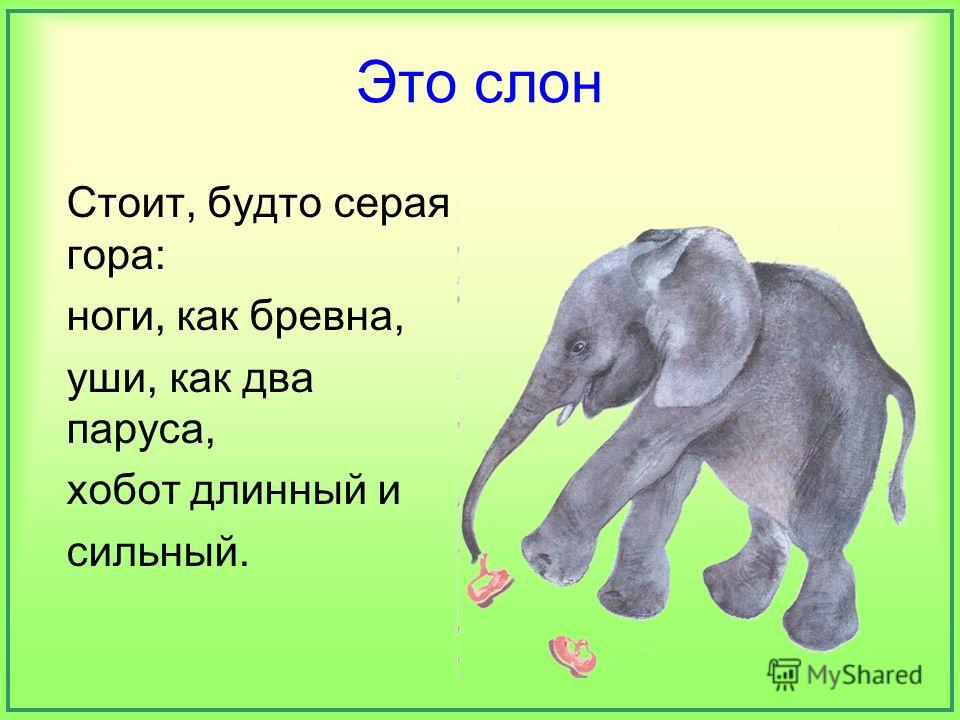 В какой группе слова не являются однокоренными слон слоненок слониха