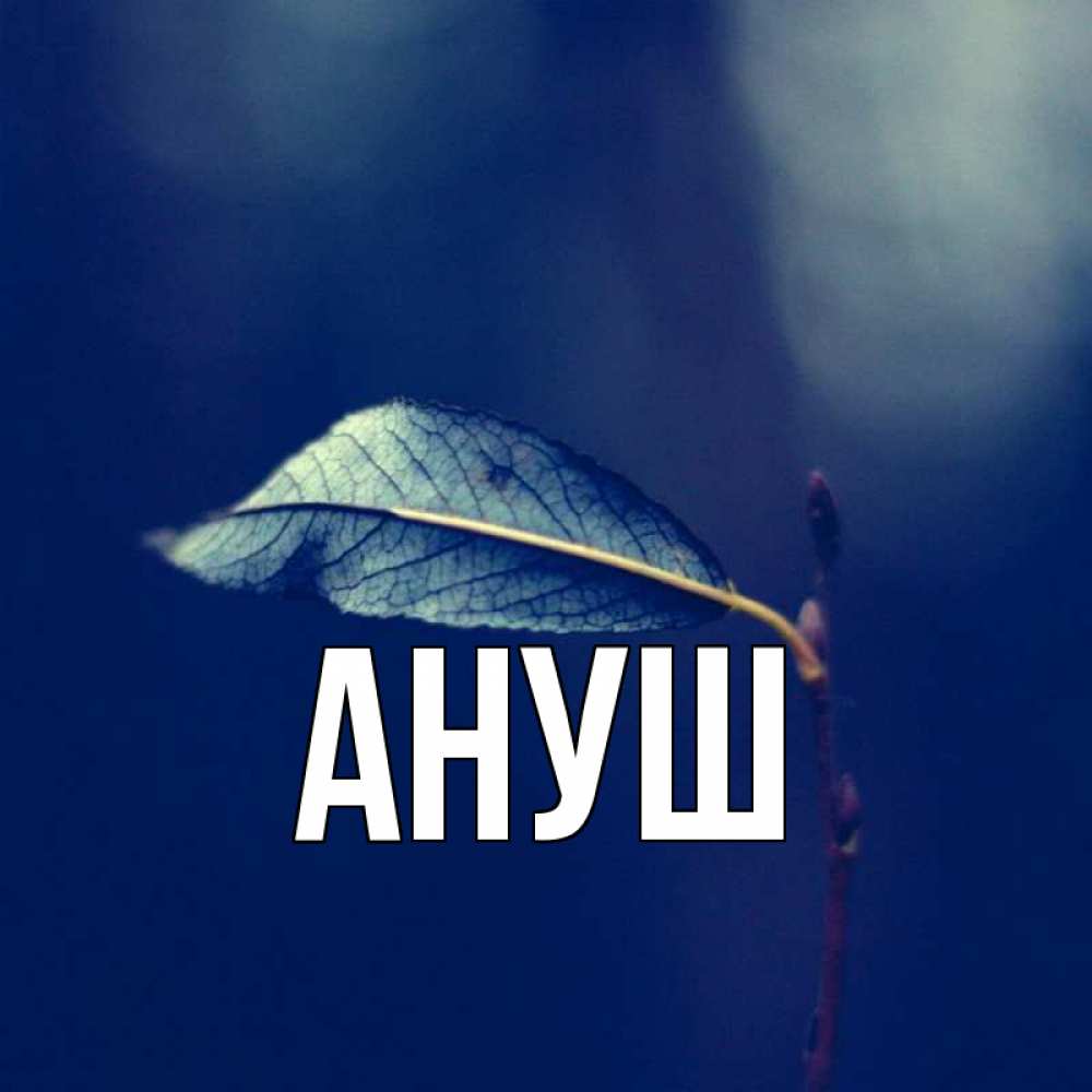 Ануш что означает имя