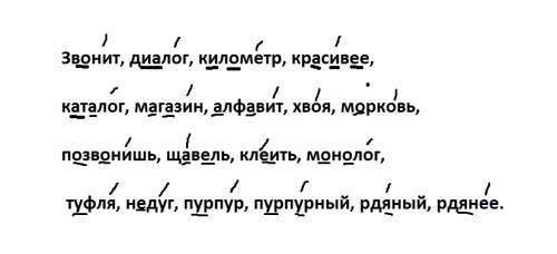 Как правильно ставить ударение во множественном числе некоторых слов: 30 распространенных примеров