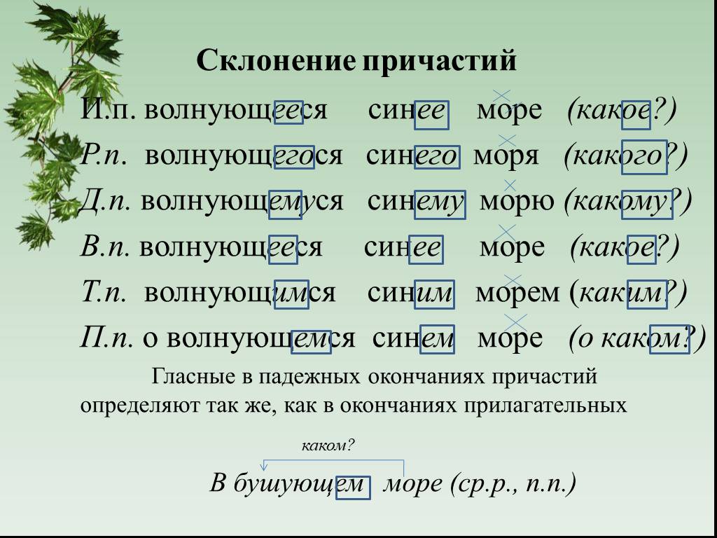 Склонение существительных по падежам (таблицы и примеры)