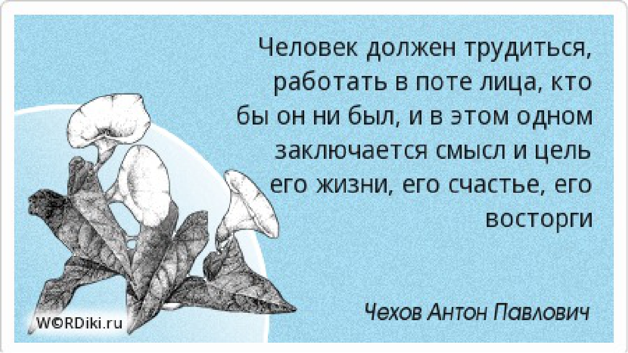 Морфологический разбор глагола - образец, примеры
