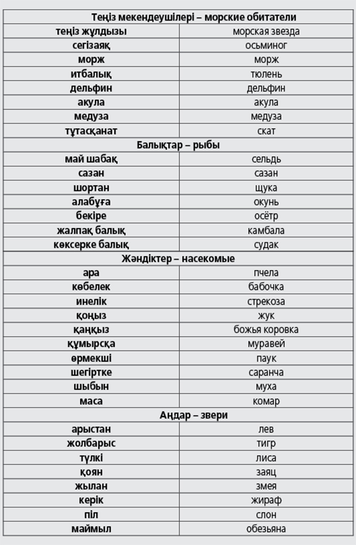 Как переводится с казахского на русский. Казахские слова. Казахский язык слова. Сова на казахском языке. Словарь казахского языка.