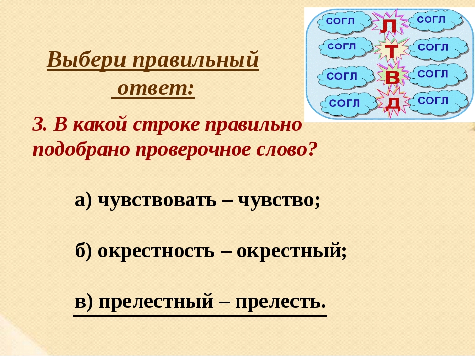 Однокоренные слова в русском языке — примеры и определение