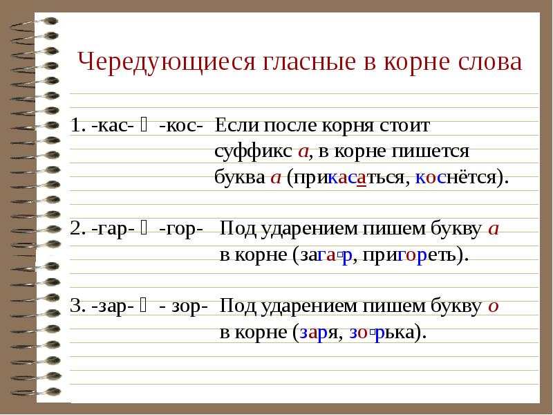 Морфологический разбор слов — как правильно делать?