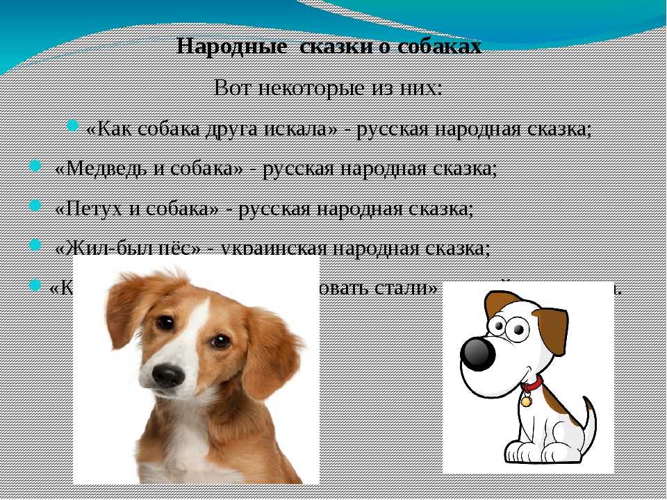 Имя стефания