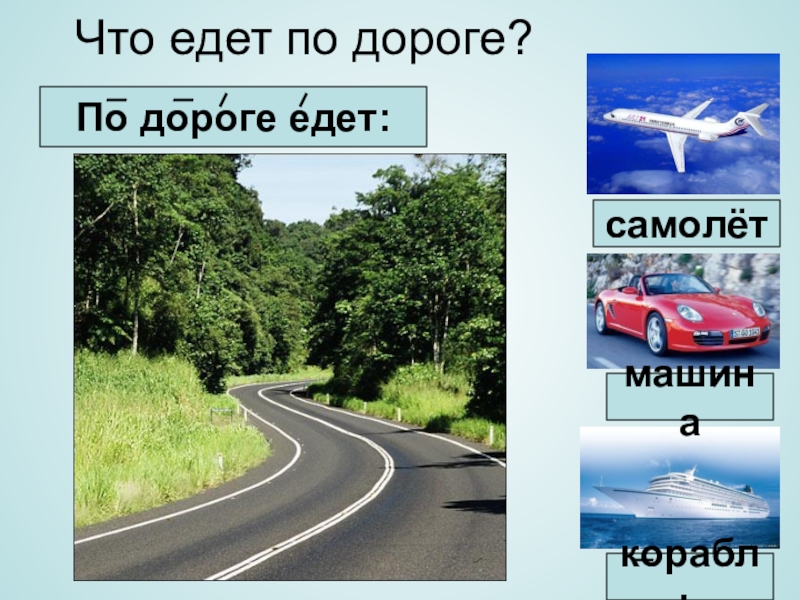 Морфологический разбор слова они с пояснениями