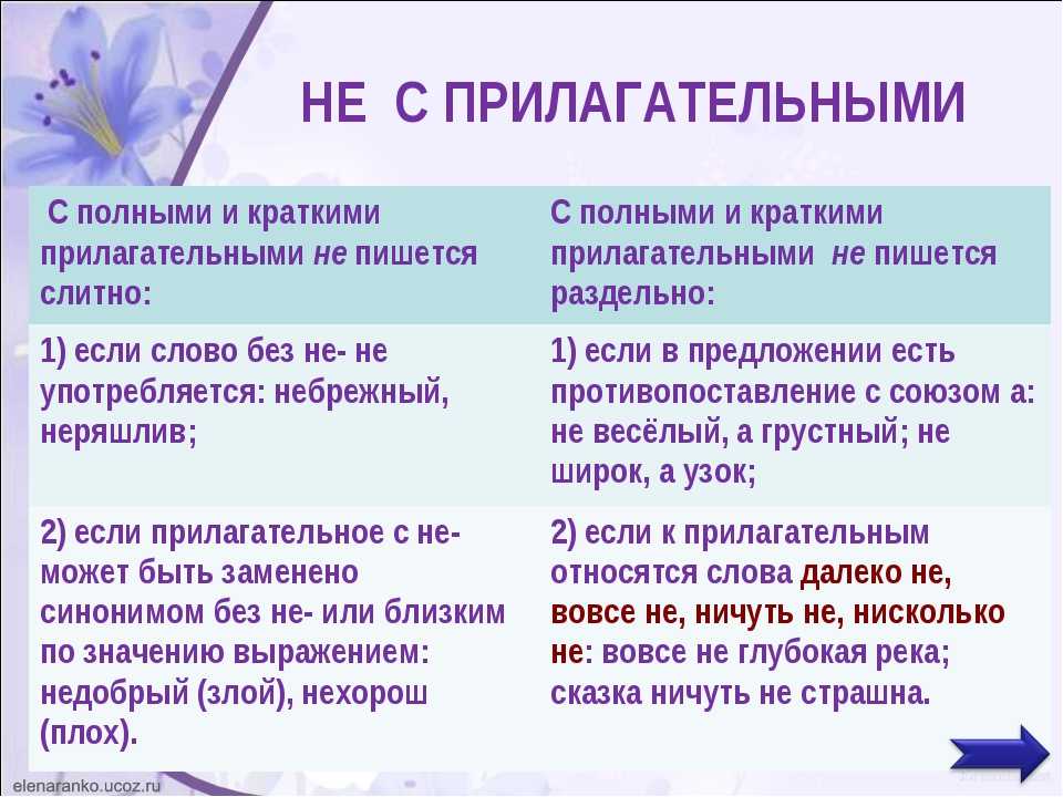 Неполный как пишется. Правописагиене с краткими прилагательными. Правописание не с краткими прилагательными. Краткое прилагательное с не. Не с прилагательными кратко.