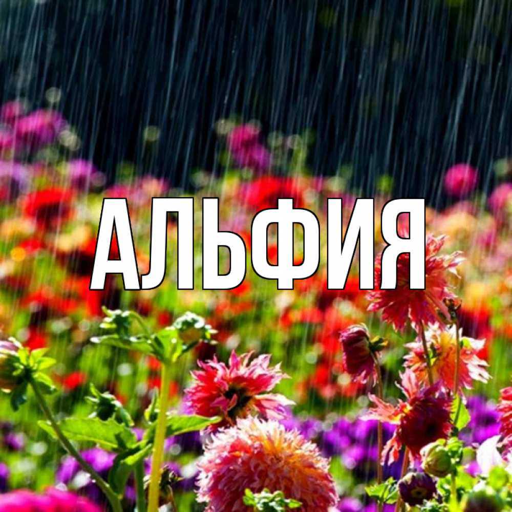 Имя ирина: значение имени, судьба и характер