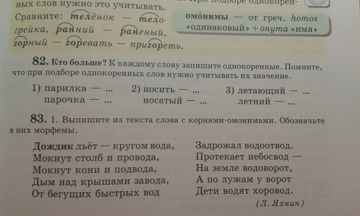 Родственные слова в русском языке: определение, отличия от однокоренных слов, правила подбора