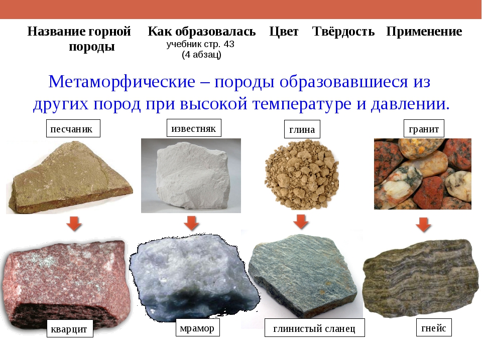 Склонение существительных: правило с примерами + видеоурок