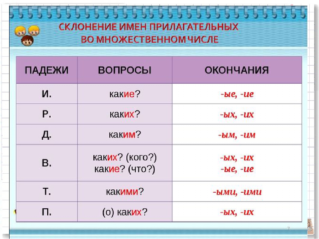 Склонение по падежам