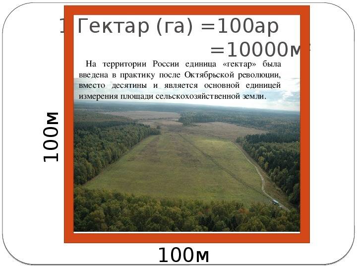 Склонение существительных