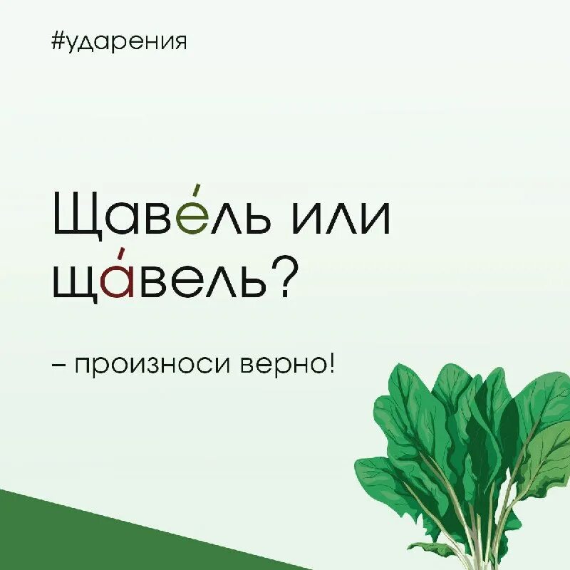 В слове компас нелитературное перемещение ударения на второй слог