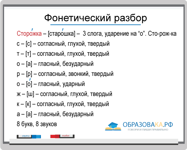 Как правильно поставить ударение: трудности, особенности, нормы в русском языке