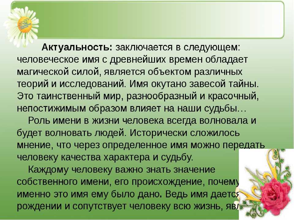 Талисманы для льва: предметы, камни, деревья, животные, цвета