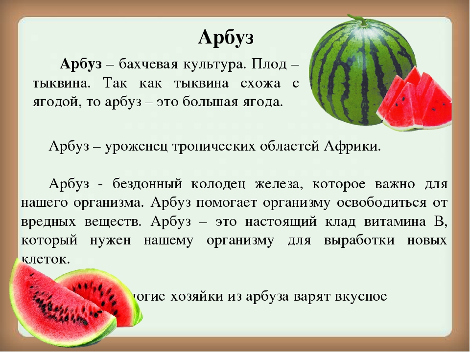 Как правильно поставить ударение в слове: простые правила грамотной речи