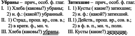 Затихшие морфологический разбор слова причастия кусты