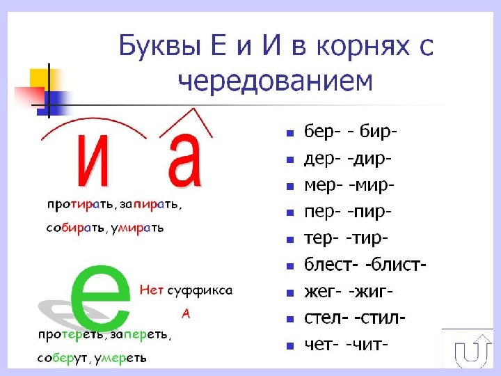 Как правильно написать проведено или произведено обследование
