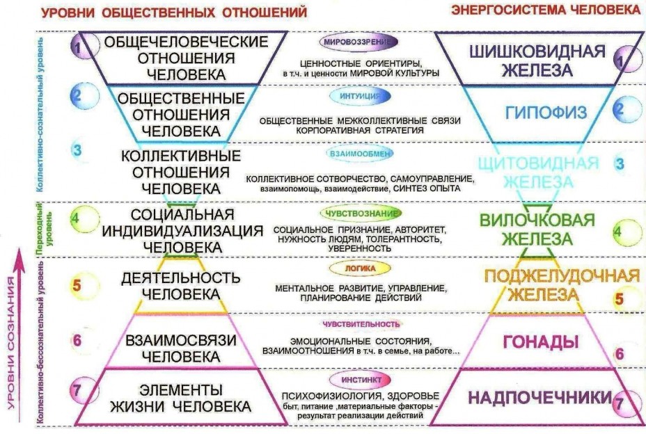 Имя эмми – значение, характер, совместимость и многое другое