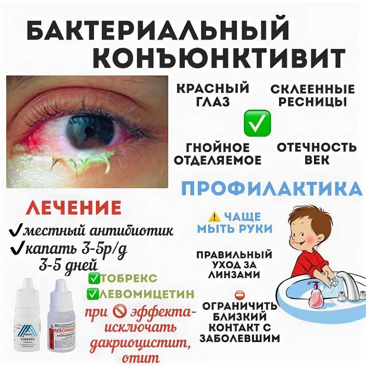 Гибискус и каркаде — это одно и тоже, в чем разница?