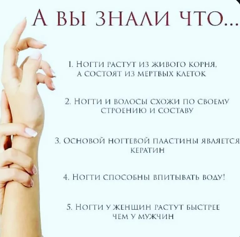 Конспект по русскому "падеж и склонение имен существительных"