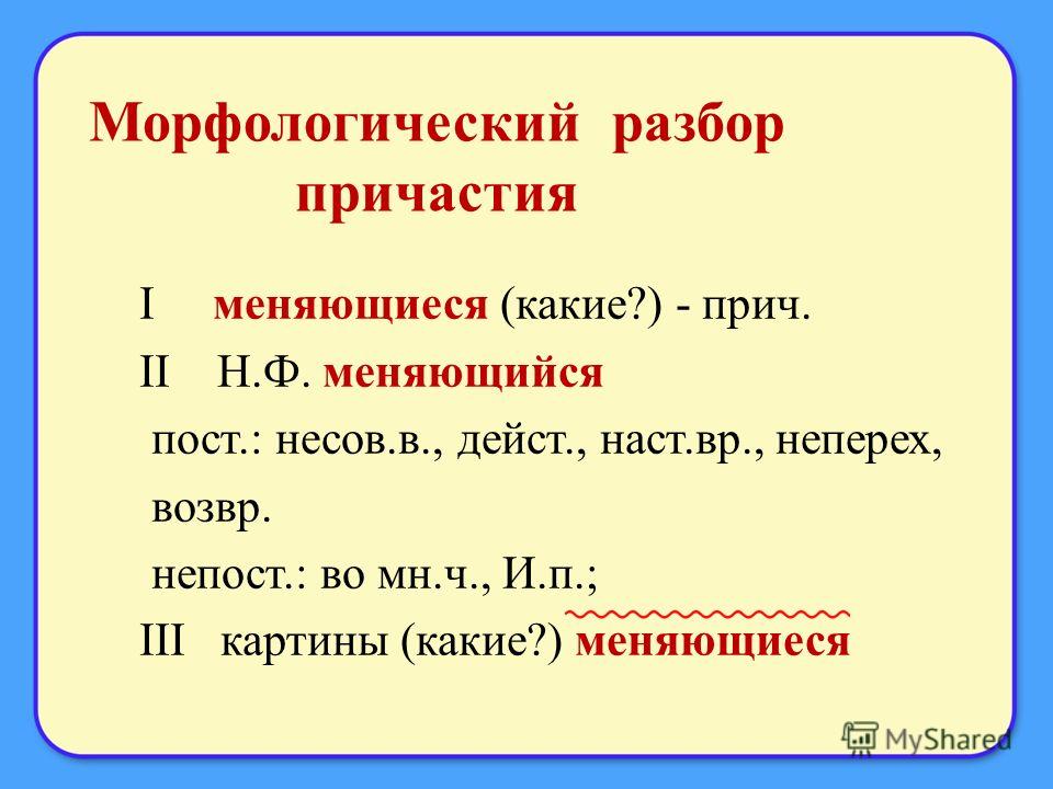 Морфологический разбор слов — как правильно делать?
