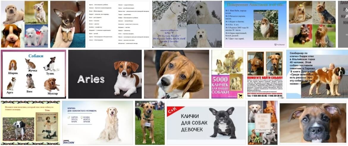 Значение имени стефания – происхождение, характер и судьба, сокращенные, уменьшительно-ласкательные формы
