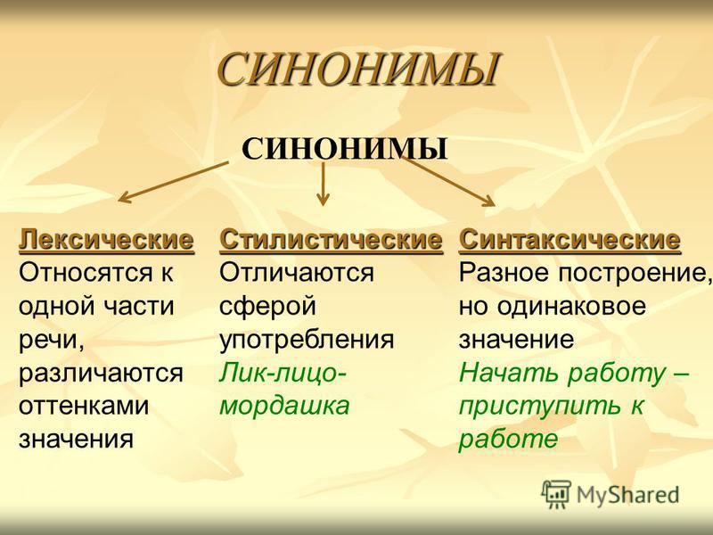 Что такое антонимы в русском языке? примеры слов