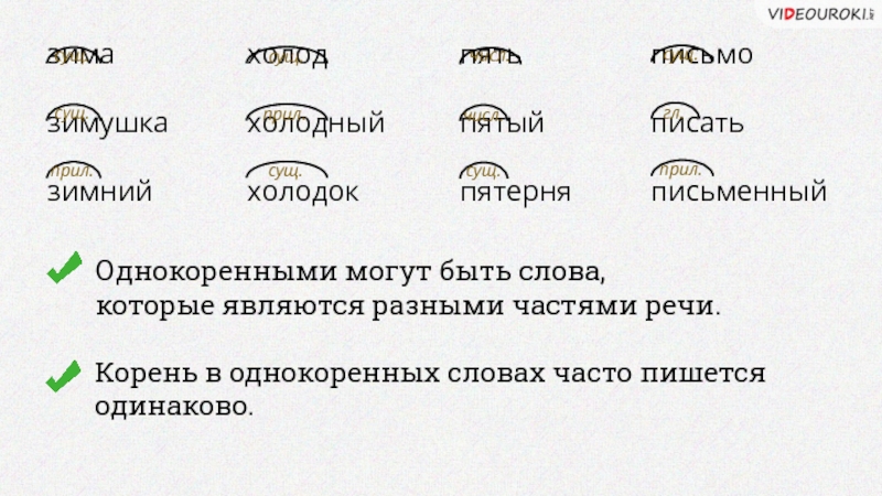 Родственные слова в русском языке: определение, отличия от однокоренных слов, правила подбора