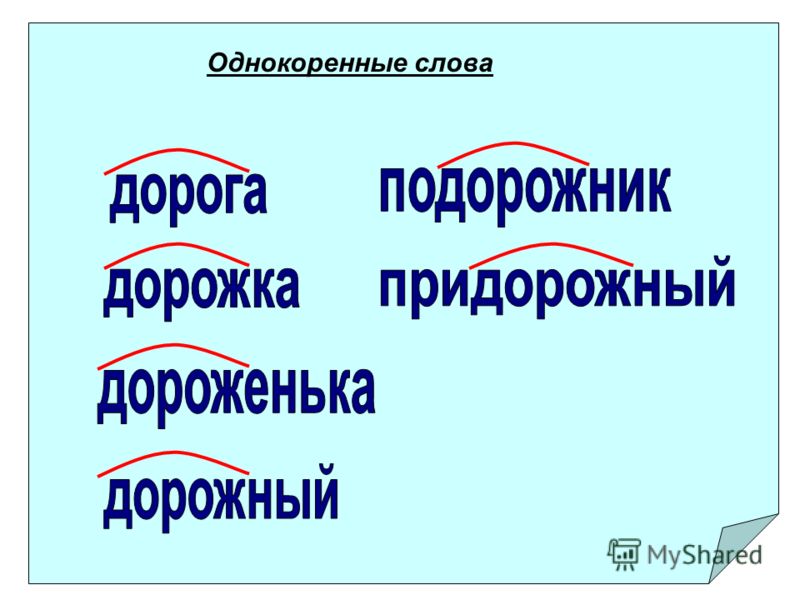 Родственные слова – правило и примеры в русском языке (4 класс)