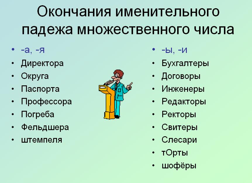 Person существительное. Директор множественное число. Директоры или директора как правильно. Профессор множественное число именительный падеж. Профессор множественное число.