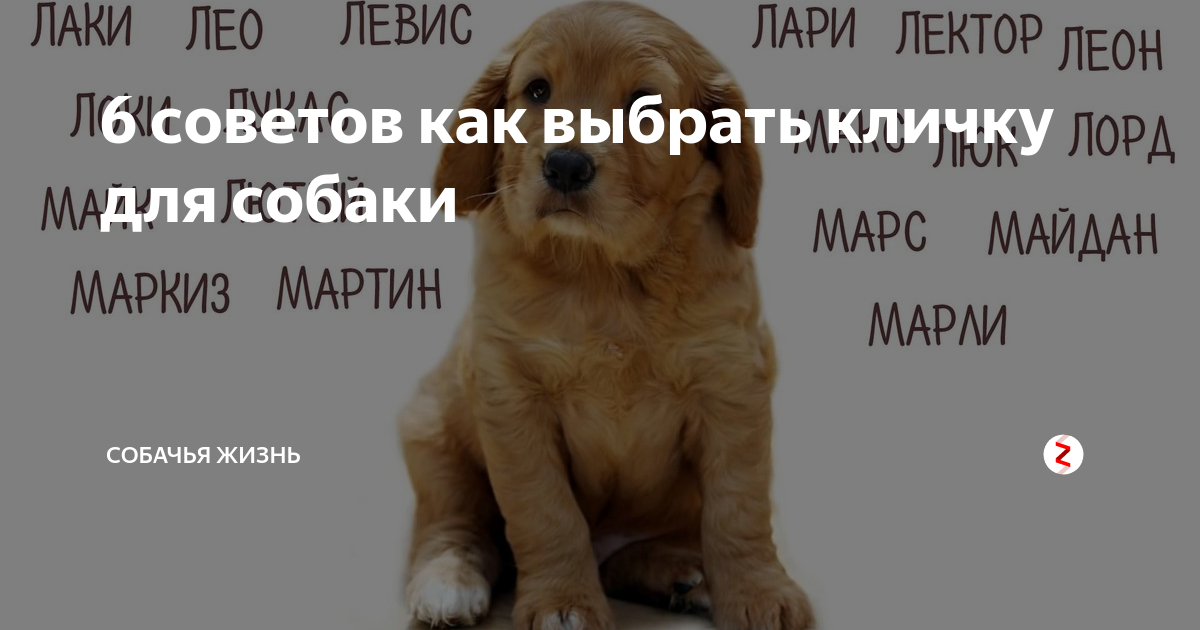 Значение имени ксения (ксюша): происхождение, характеристика, судьба девочки, перевод, тайна, характер, знаменитости