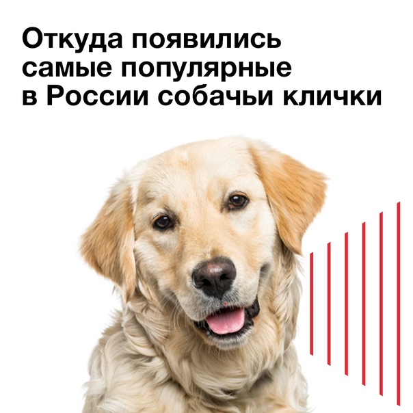 Имя лилия: значение, происхождение, характер