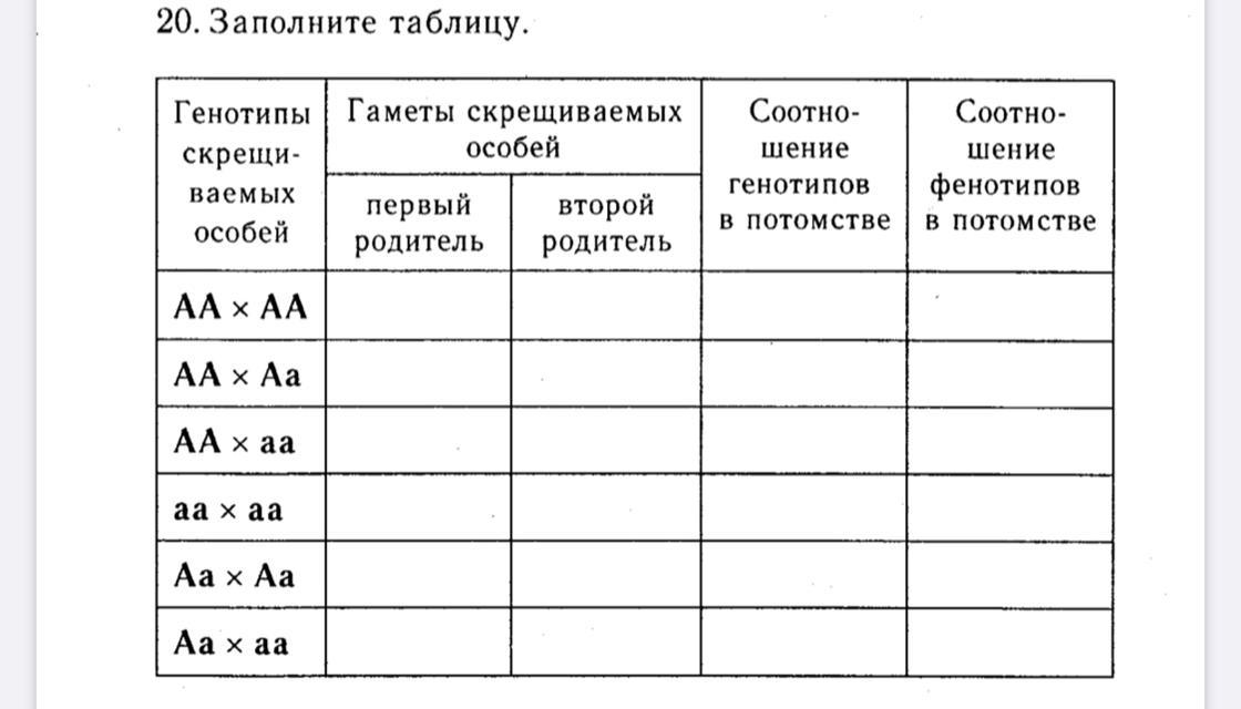 Морфологический разбор глагола / глагол / морфология и морфологический разбор / справочник по русскому языку для начальной школы