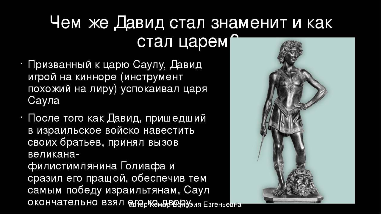 Растение фотиния: фото, виды, выращивание, посадка и уход