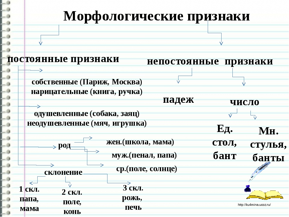 Морфологический разбор глагола