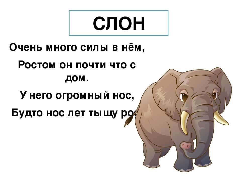 Слоник на слоги. Стих про слона. Загадка про слона. Загадка про слона для детей. Стих про слона для детей.