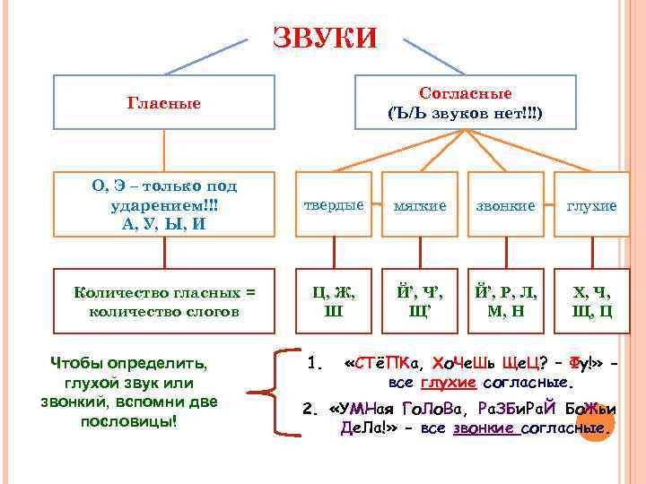 Анамнез- как правильно ставить ударение в слове