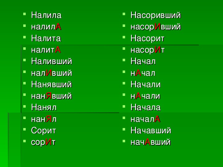 Ударение в слове "заняла": как правильно поставить, примеры, грамматика